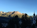 IMG_7439