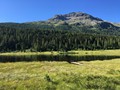 IMG_7449