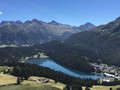 IMG_7452