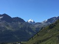 IMG_7455