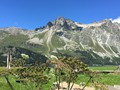 IMG_7462