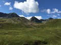 IMG_7543