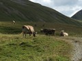 IMG_7546