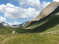 IMG_7547