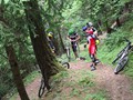 IMG_7659