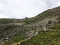 IMG_1248