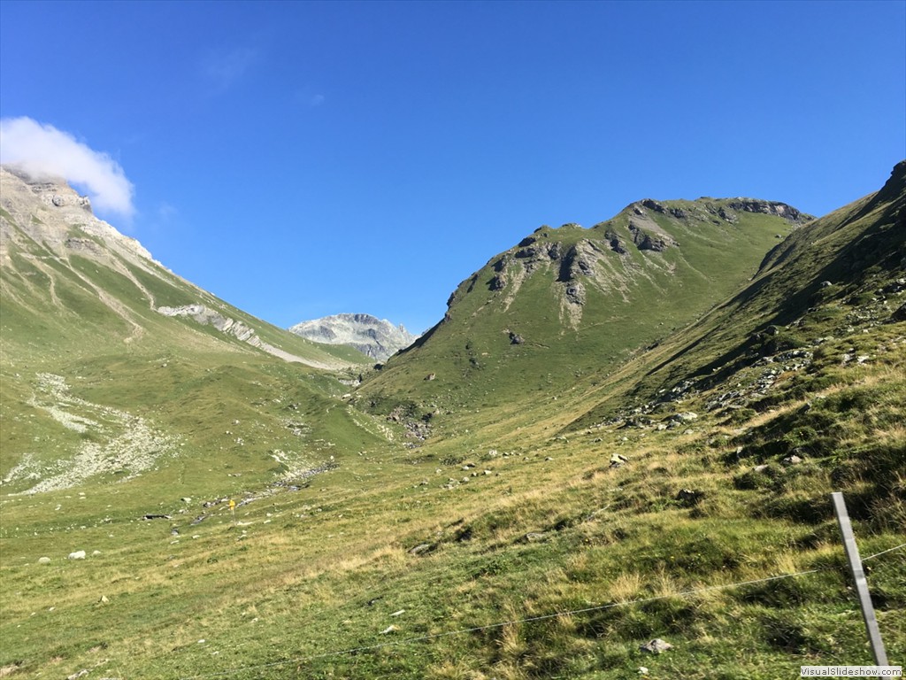 IMG_7734