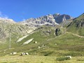 IMG_7731