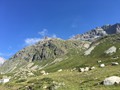 IMG_7732