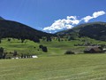 IMG_7416