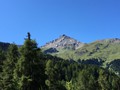IMG_7417