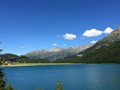 IMG_7425