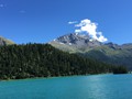 IMG_7428