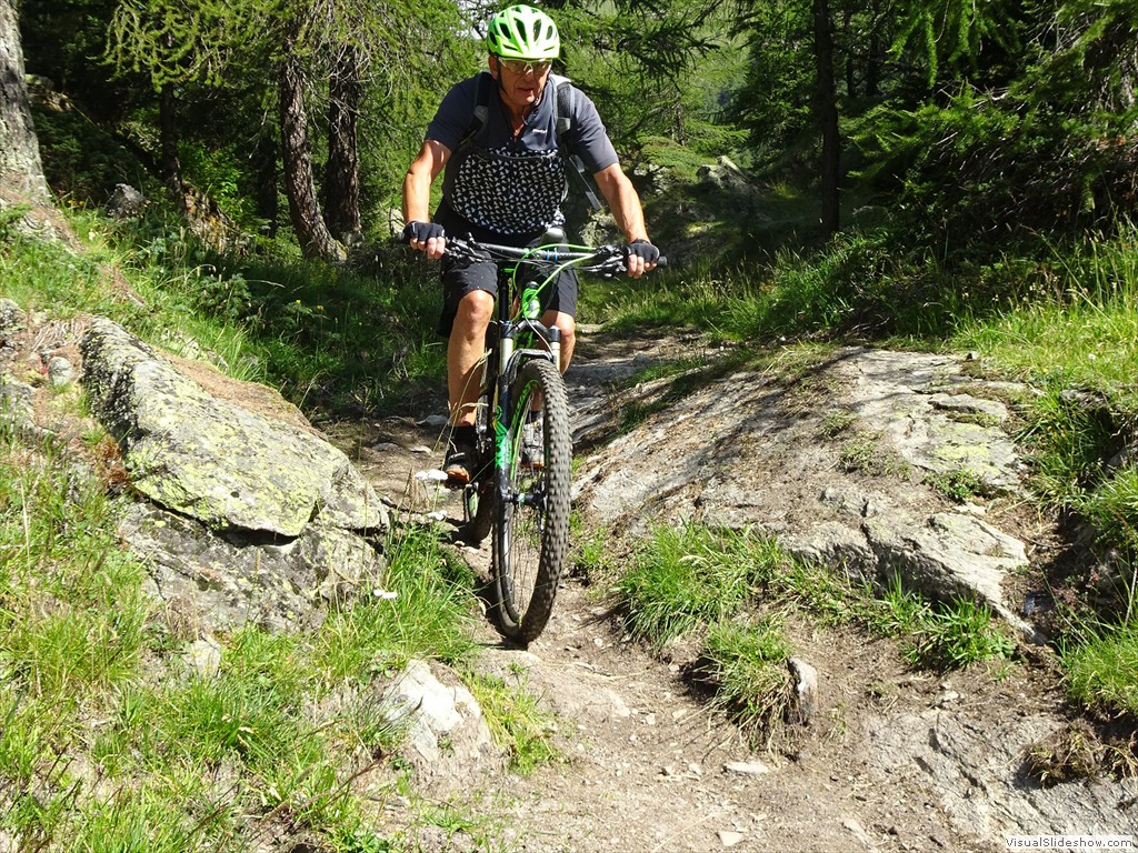 DSC01441_mod
