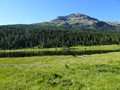 DSC00184