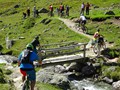 DSC00246