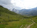 DSC00739