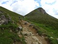 DSC00794