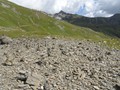 DSC00901