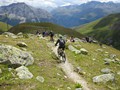 DSC00970