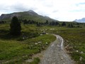 DSC01116