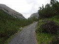 DSC01241