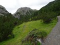 DSC01244