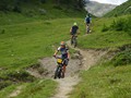 DSC01393_mod
