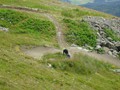 DSC01644