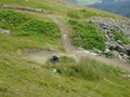 DSC01645