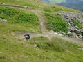 DSC01646