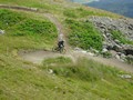 DSC01649