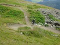 DSC01650