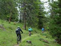 DSC01817