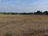 DSC04897