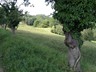 DSC04900