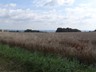DSC04901