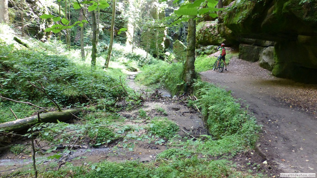 P1020542