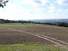 DSC05398