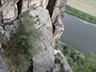 DSC05599