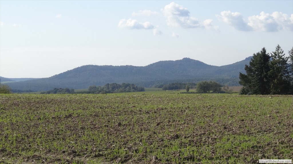 DSC05695