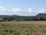 DSC05697