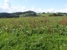 DSC05715
