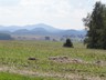 DSC05729