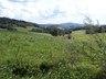DSC05737