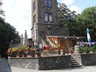DSC05768