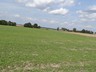 DSC05870