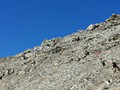 IMG_20200909_121908
