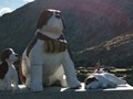 IMG_20200912_093013