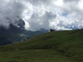 IMG_7495